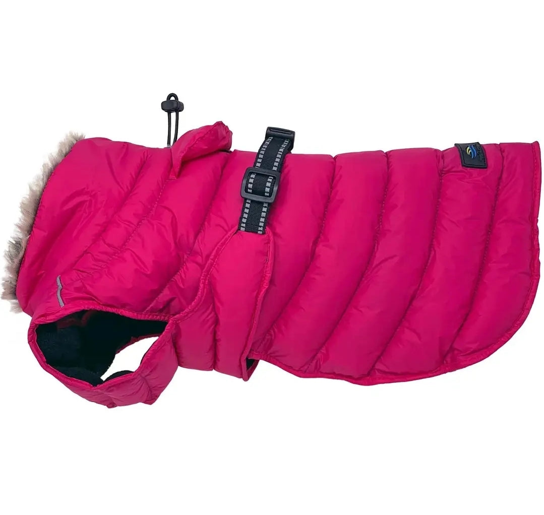 Alpine Extreme Weather Dog Coat – Waterproof Insulated Winter Jacket for Large Dogs