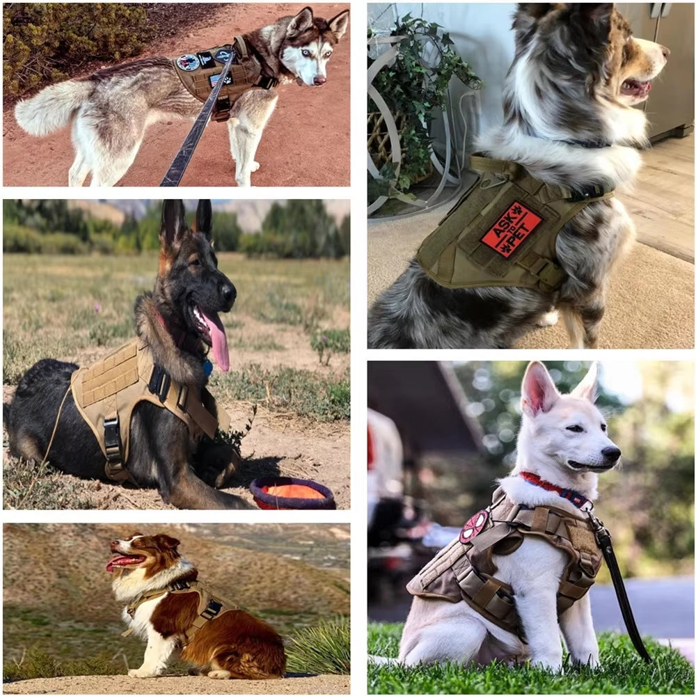 Heavy Duty Tactical No-Pull Harness (For Medium to Extra Large Dogs)