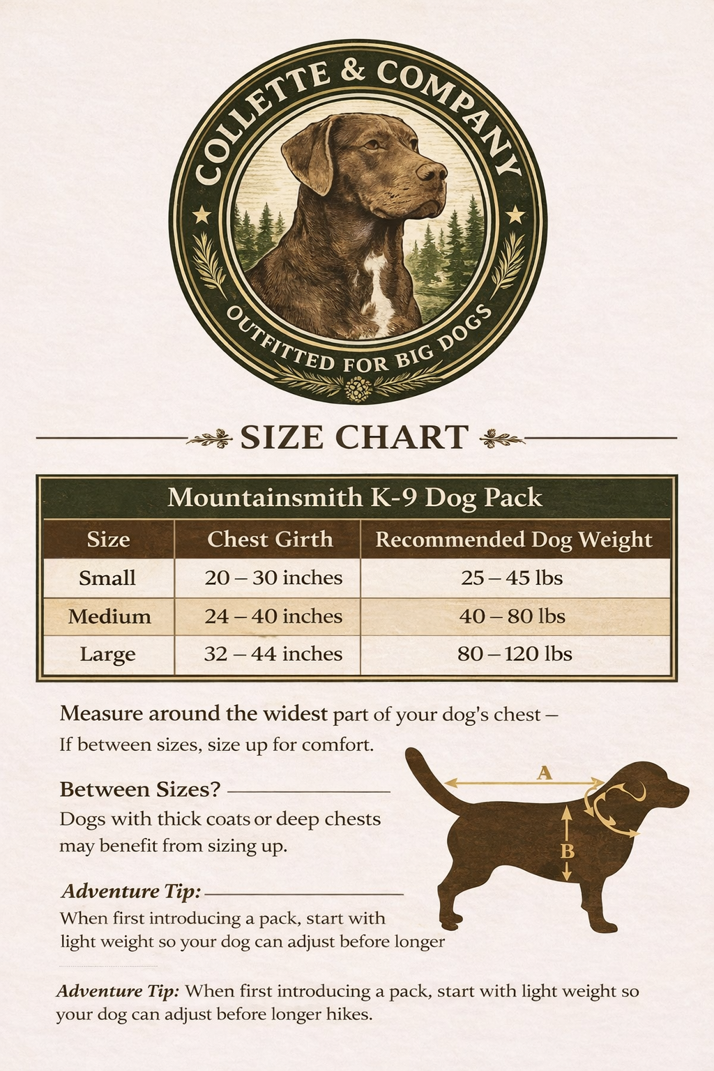 Mountainsmith K-9 Dog Pack – Hiking Backpack Harness for Dogs