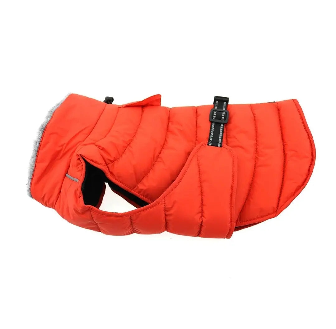 Alpine Extreme Weather Dog Coat – Waterproof Insulated Winter Jacket for Large Dogs