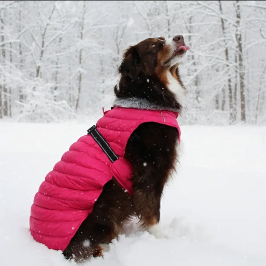 Alpine Extreme Weather Dog Coat – Waterproof Insulated Winter Jacket for Large Dogs