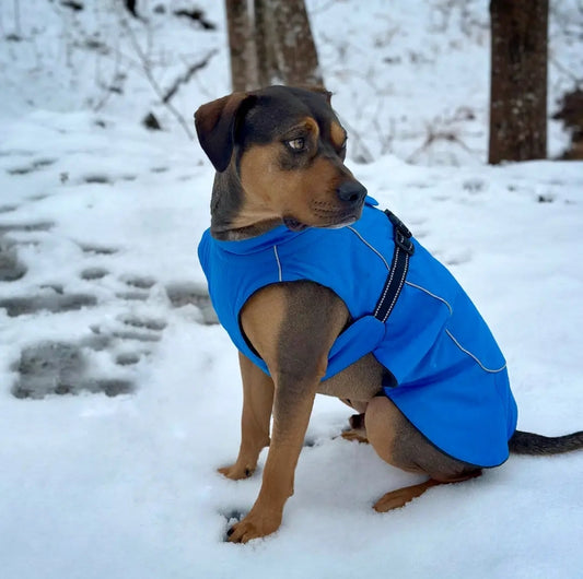 Alpine Tuf Terrain Dog Coat | Sherpa-Lined Canvas Jacket for Large & XL Dogs (Up to 5XL)