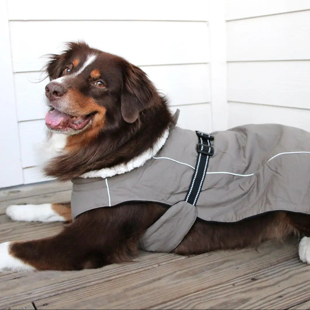 Alpine Tuf Terrain Dog Coat | Sherpa-Lined Canvas Jacket for Large & XL Dogs (Up to 5XL)